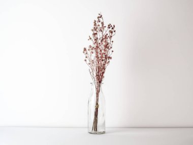 Buket kurutulmuş Gypsophila çiçek dekorasyon için