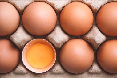 Organik tavuk yumurtası yemek malzemeleri konsepti.