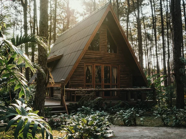 Rekreační dům v borovém lese — Stock fotografie