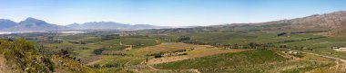 Vadi Panorama Western Cape'deki/daki Cape Town yakınındaki meyve bahçeleri ile