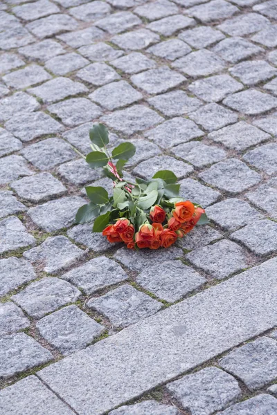 Bukett Ljusa Korallrosor Sten Trottoaren Staden — Stockfoto