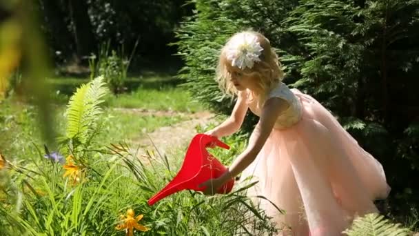Pequena menina regando flores em um jardim de uma lata de rega — Vídeo de Stock