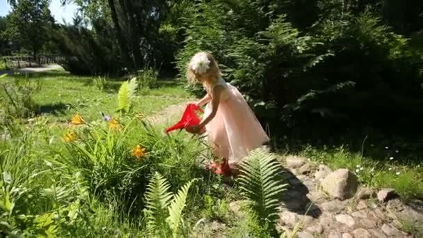 Маленька дівчинка поливає квіти в саду з лійки — стокове відео