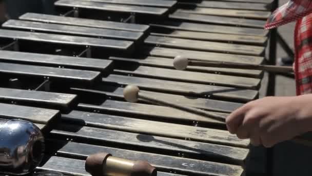 En gata musiker spelar på en metallophone — Stockvideo