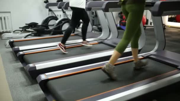 Girls lose weight on a treadmill — Stock Video