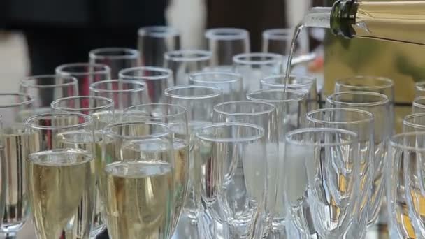 The waiter pours champagne in glasses — Stock Video