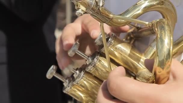 Pressing the buttons on the wind instrument — Stock Video