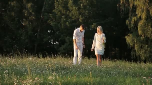 Un couple amoureux marche le long de la pelouse — Video