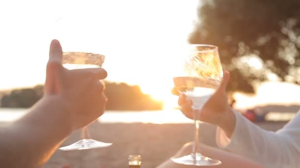 Lovers clink glasses on the beach — Stock Video
