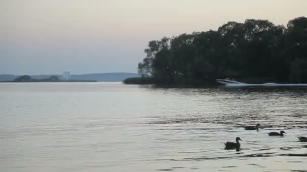 Paseo en barco por la noche al atardecer — Vídeo de stock