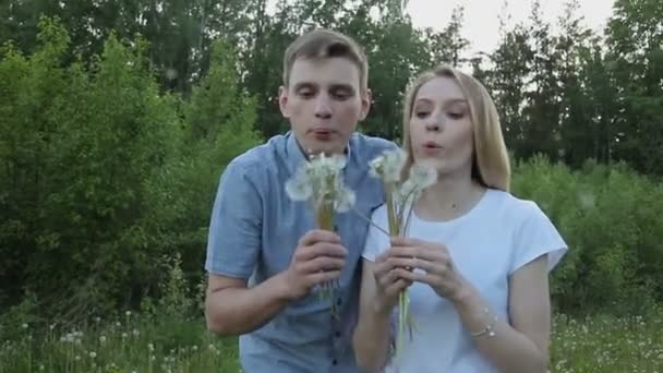 Enamored guy and girl blow flowers dandelions — Stock Video