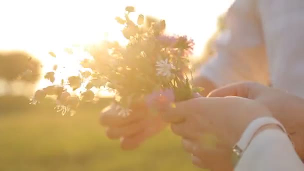 Mãos femininas e masculinas segurando buquê de flores selvagens — Vídeo de Stock