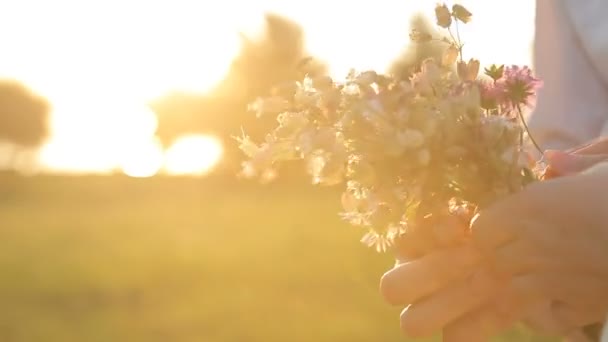 Mãos femininas e masculinas segurando buquê de flores selvagens — Vídeo de Stock