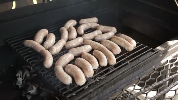 Meat sausages are grilled — Stock Video