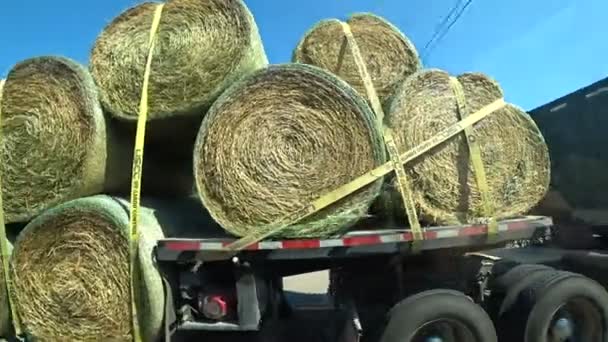 Vervoer van rollen hooi op de truck — Stockvideo