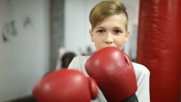 Boxe menino com luvas no ginásio — Vídeo de Stock