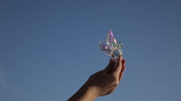 Girl holding a glass bird — Stock Video