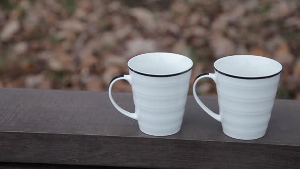 Dos tazas de café están en el banco en el parque — Vídeo de stock