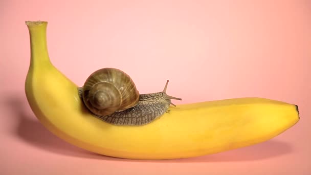A rózsaszín háttér sárga banán — Stock videók