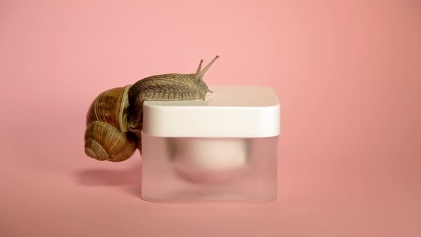 带蜗牛粘液的皮肤护理化妆品. — 图库视频影像