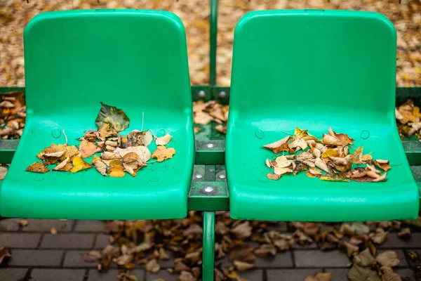 Empty sports stands with red and green seats on an autumn day. — 스톡 사진