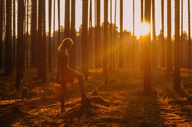 Genç kız akşam ormanda kalıyor