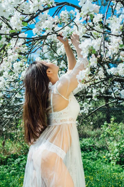 Şube Dokunmadan Çiçeği Elma Bahçesinde Beyaz Elbiseli Genç Kız Portresi — Stok fotoğraf