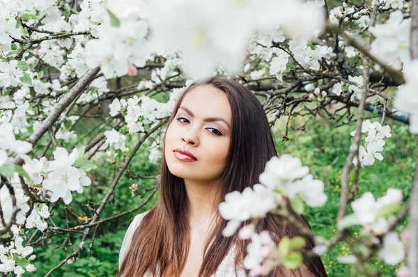 Portrait of young girl in white dress in blossom apple garden, looking to the camera