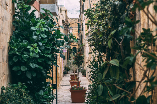 Street view in Birgu, Malta