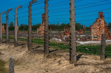 Yok edilen kışla içinde Auschwitz - Birkenau toplama kampı yakınlarında Krakow, Polonya
