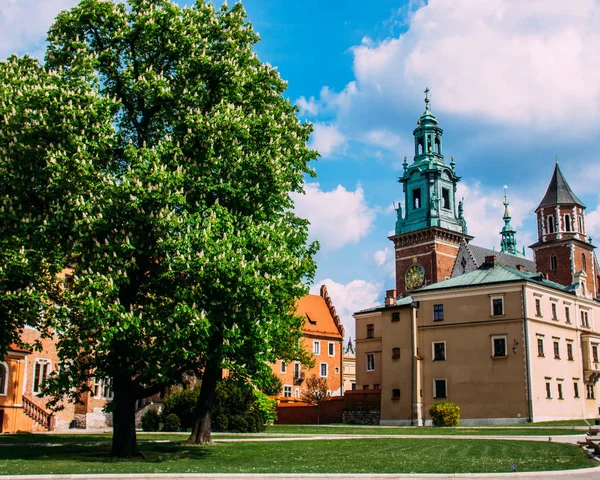 Wawel Kalesi Krakow Polonya Için Görüntüleyin — Stok fotoğraf