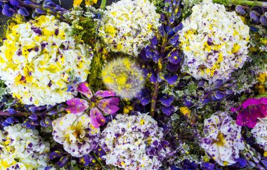 Blossoming mixed flowers -  viburnum, lupine, briar, rose, buttercup, hemlock with violet and yellow powder, flowers background clipart