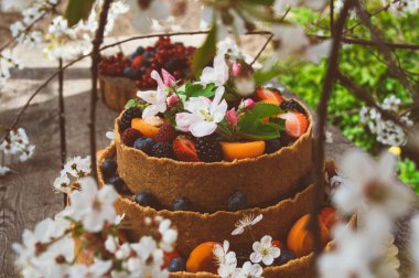 Meyve ve çilek ile cheesecake