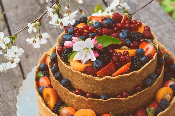 Bolo de queijo com frutas e bagas — Fotografia de Stock