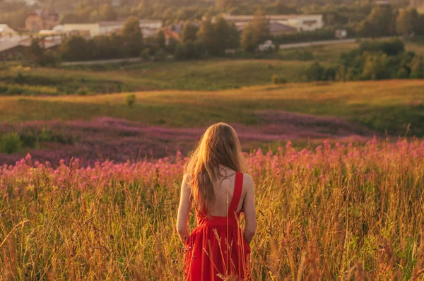 Дівчинка у червоній сукні живе серед квітучого поля Саллі. — стокове фото