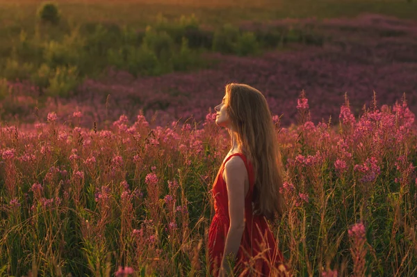 Chica en vestido rojo permaneciendo entre el floreciente campo de Sally —  Fotos de Stock