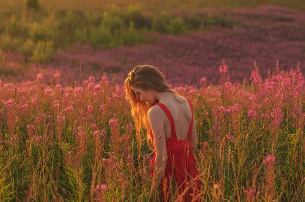 Mädchen im roten Kleid bleibt inmitten blühenden Sally-Feldes — Stockfoto