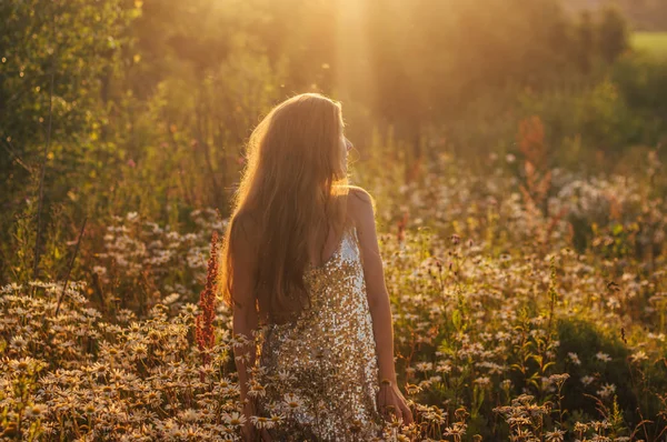 Mädchen im blinkenden Kleid bleibt inmitten eines Kamillenfeldes — Stockfoto