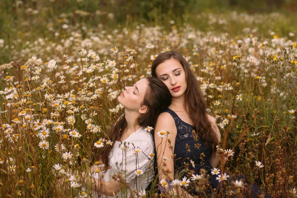 Koyu mavi ve beyaz elbiseli iki kız güneşli bir günde papatya tarlasında doğada oturuyor.