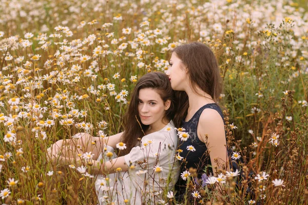 Güneşli bir günde koyu mavi ve beyaz elbiseli iki kız papatya tarlasında doğa üzerine oturuyor.