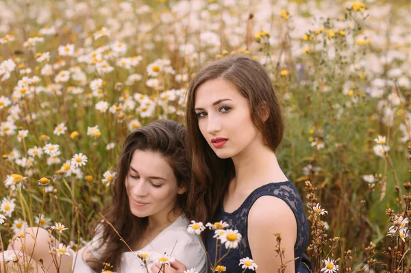 Güneşli bir günde koyu mavi ve beyaz elbiseli iki kız papatya tarlasında doğa üzerine oturuyor.