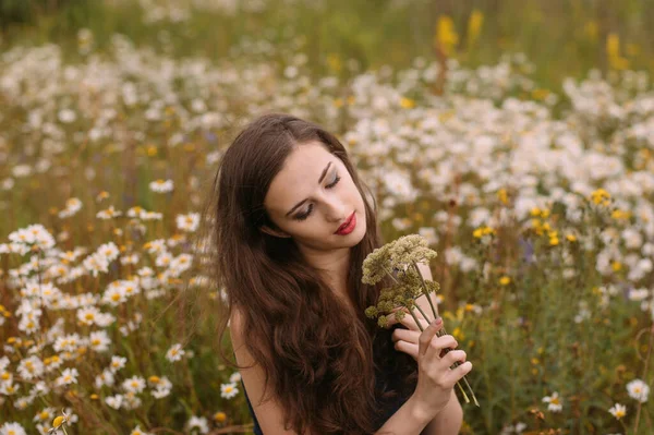 若い美しい女の子は夏にカモミール畑で手に花の花束を保持しています — ストック写真