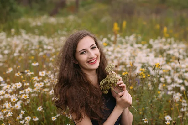 Jong Mooi Meisje Houdt Boeket Van Bloemen Handen Kamille Veld — Stockfoto