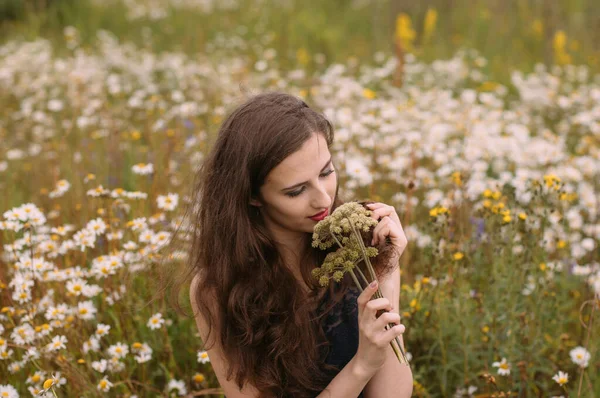 Yazın papatya tarlasında elinde çiçek buketi tutan güzel bir kız.