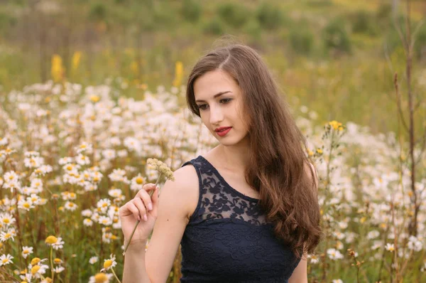 Yazın papatya tarlasında güzel bir kız çiçekleri elinde tutuyor.