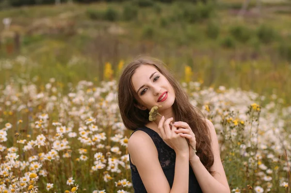 Yazın papatya tarlasında güzel bir kız çiçekleri elinde tutuyor.