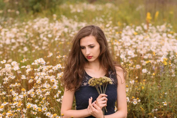 若い美しい女の子は夏にカモミール畑で手に花の花束を保持しています — ストック写真