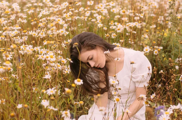 Yazın papatya tarlasında oturan beyaz elbiseli güzel bir kız.