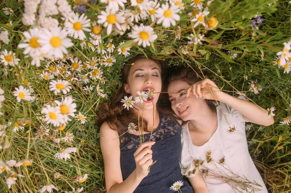 Güneşli bir günde koyu mavi ve beyaz elbiseli iki kız uzanır ve papatya tarlasında doğa ile oynaşırlar.