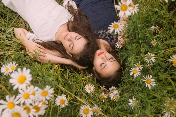 Güneşli bir günde koyu mavi ve beyaz elbiseli iki kız uzanıp papatya tarlasında doğada uyuyor.